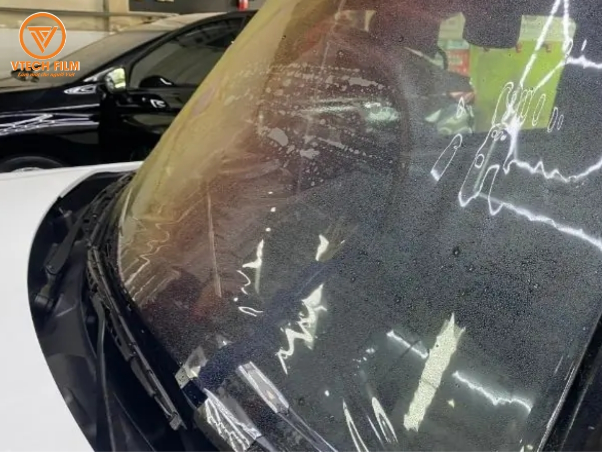 phimcachnhietbiovang