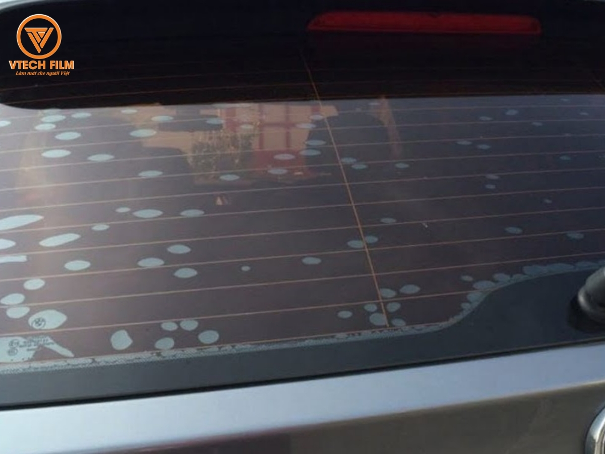 phimcachnhietbinoibongbong